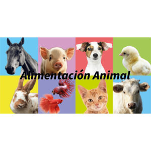 Animales - Mascotas