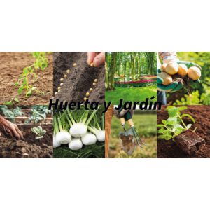 Huerta - Jardín