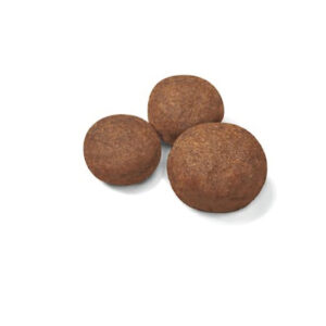 Medium Puppy saco 15 Kg