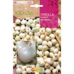 BULBOS CEBOLLA DE MESA WHITE SNOWBALL 250 GR.