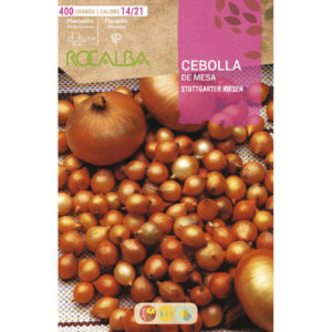 BULBOS CEBOLLA DE MESA STTUTGARTER AMARILLA