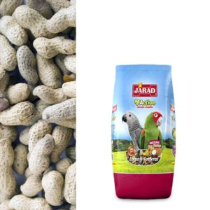 CACAHUETE CON CÁSCARA