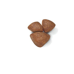 STARTER Mother & Babydog - MINI saco 8 Kg