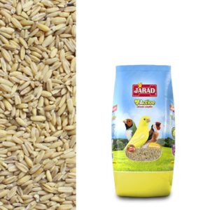 AVENA PELADA JARAD