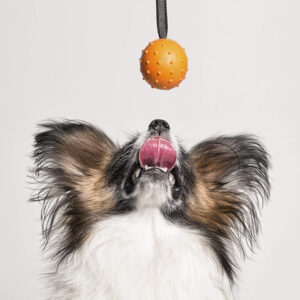 PELOTA GOMA CON CUERDA Ø5 CMS PARA PERROS JUGUETE