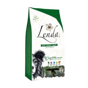 Medium Adult Lamb - Cordero