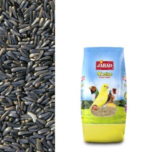 NEGRILLO