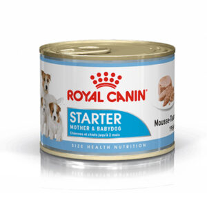 STARTER MOUSSE 195 GR LATA