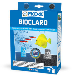 ESPONJA BIOCLARO 10x10x6