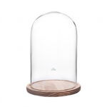 CÚPULA DE CRISTAL TRANSPARENTE CON BASE DE MADERA