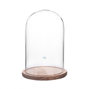 CÚPULA DE CRISTAL TRANSPARENTE CON BASE DE MADERA
