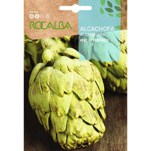 ALCACHOFA VERT DE PROVENCE