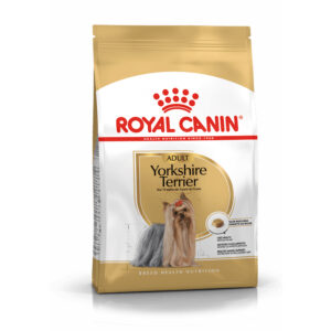 Yorkshire Terrier Adulto