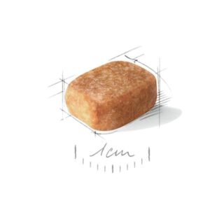 CHIHUAHUA ADULT 500GR