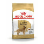 Golden Retriever Adult saco 12 Kg
