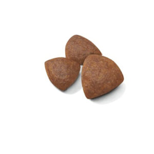 STARTER Mother & Babydog - MEDIUM saco 15 Kg