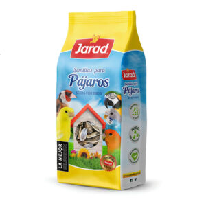PIPA LORO