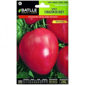 TOMATE CORAZON DE BUEY