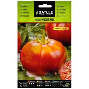 TOMATE MUCHAMIEL