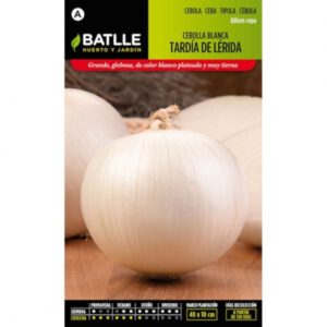 CEBOLLA GRANDE GORDA TARDIA DE LERIDA
