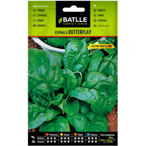 ESPINACA BUTTERFLAY