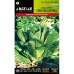 LECHUGA ROMANA LARGA OREJA DE MULO