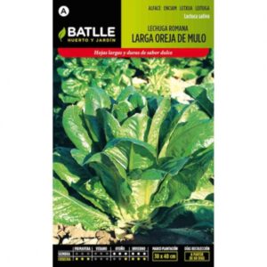LECHUGA ROMANA LARGA OREJA DE MULO