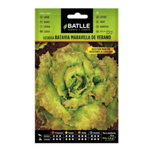 LECHUGA BATAVIA MARAVILLA DE VERANO