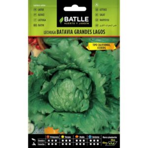 LECHUGA GRANDES LAGOS