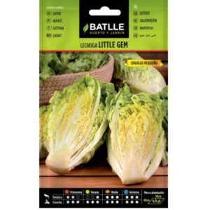 LECHUGA LITTLE GEM COGOLLO