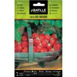 FRESAS DEL BOSQUE