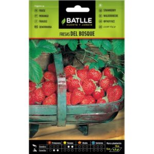 FRESAS DEL BOSQUE