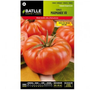 TOMATE MARMANDE VR