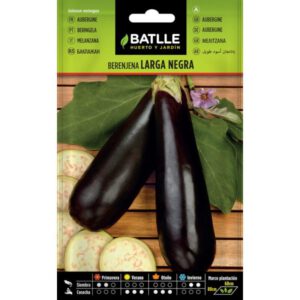 BERENJENA LARGA NEGRA