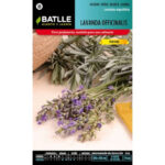 LAVANDA OFFICINALIS PERFUME