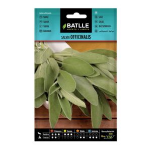 SALVIA OFFICINALIS