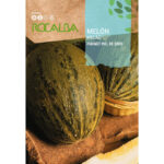 MELÓN PIÑONET PIEL DE SAPO