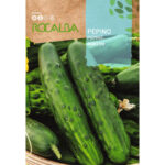 PEPINO MAKETER