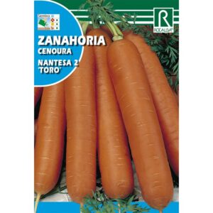 ZANAHORIA NANTESA 2 TORO