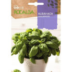 ALBAHACA BASILIC GRAND VERT