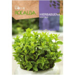 HIERBABUENA