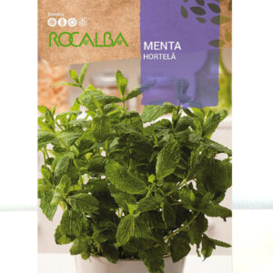 MENTA