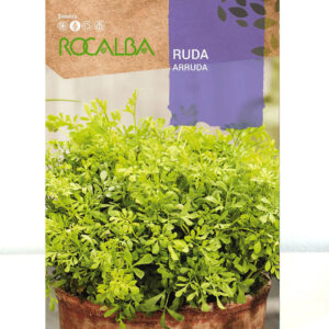 RUDA
