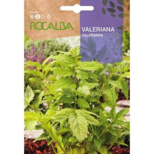 VALERIANA
