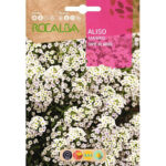 ALISO TAPIS DE NEIGE