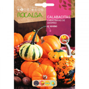 CALABACITAS DE ADORNO VARIADAS