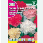 CLAVEL DE FLORISTAS RAMILLETE VARIADO