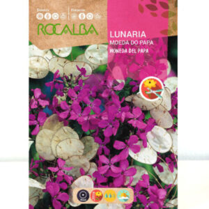 LUNARIA MONEDA DEL PAPA