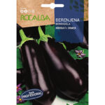 BERENJENA BONICA HIBRIDA F1 BONICA
