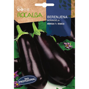 BERENJENA BONICA HIBRIDA F1 BONICA
